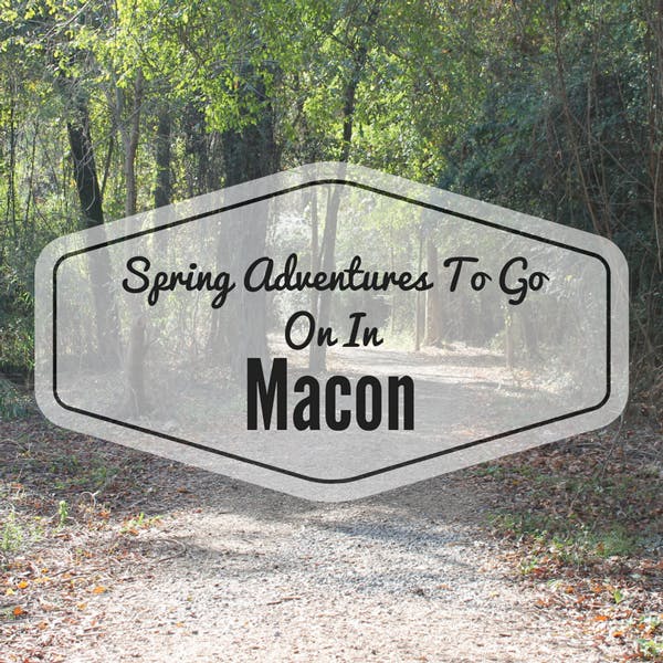Macon-Adventure-web