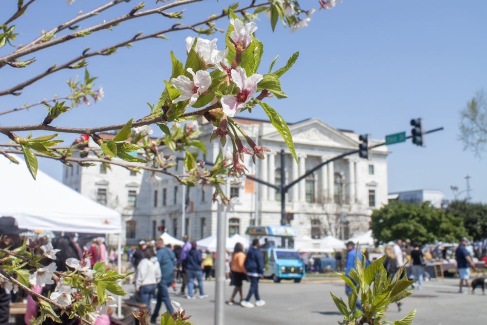 Macon's title as the "cherry blossom capital of the world" attracts thousands of visitors each Spring for the city's annual Cherry Blossom Festival. 