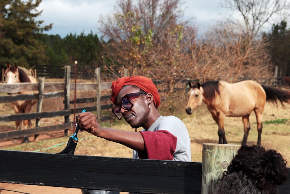 Mercer Associate Director of Student Financial Aid TaQuia Yancey painted a fence as two horses gazed from afar Nov. 22, 2025.