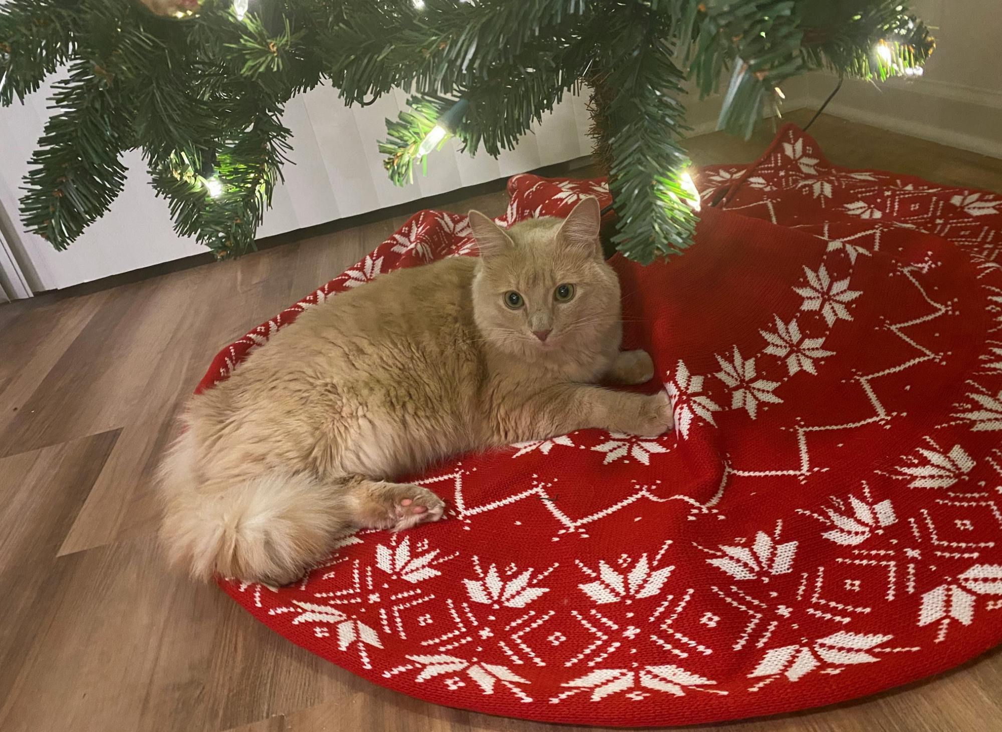 Screen Shot 2023-03-20 at 1.47.07 PM.png