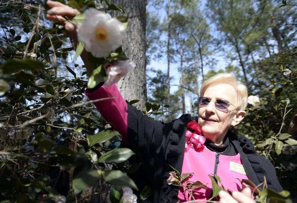 Former Georgia First Lady Sandra Deal takes a close look at camellia blooms at Massee Lane Gardens in 2017. Deal, the wife of former Gov. Nathan Deal, died Tuesday at the age of 80. (Macon Telegraph file photo)