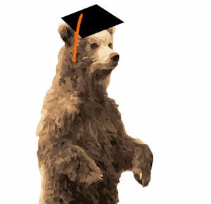 grad-bear-graphic