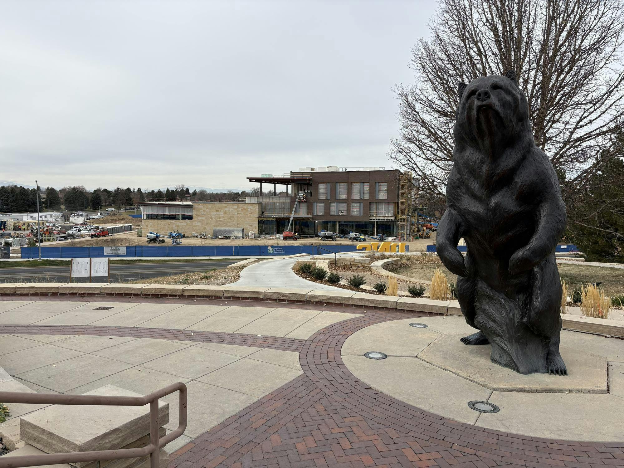 UNC Bear Looking over OSM