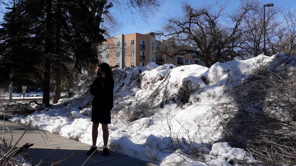 20210318_154930-scaled