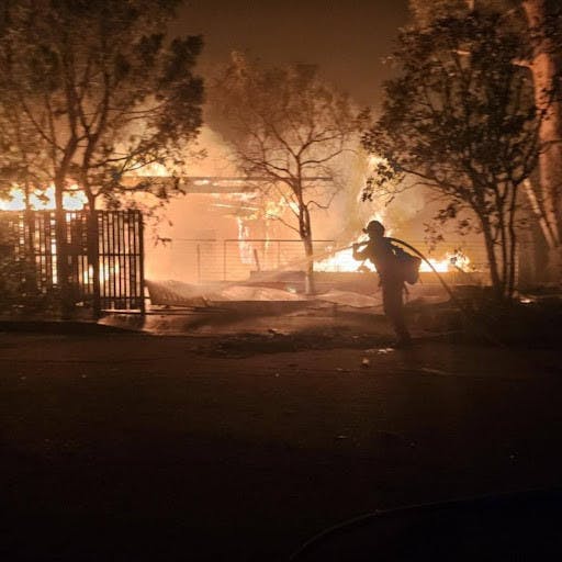 Jonathan Rinderknecht is arrested and charged for kindling the Palisades Fire. (Photo courtesy of Wikimedia Commons / Pacific Southwest Forest Service, USDA, Jan. 13, 2025)