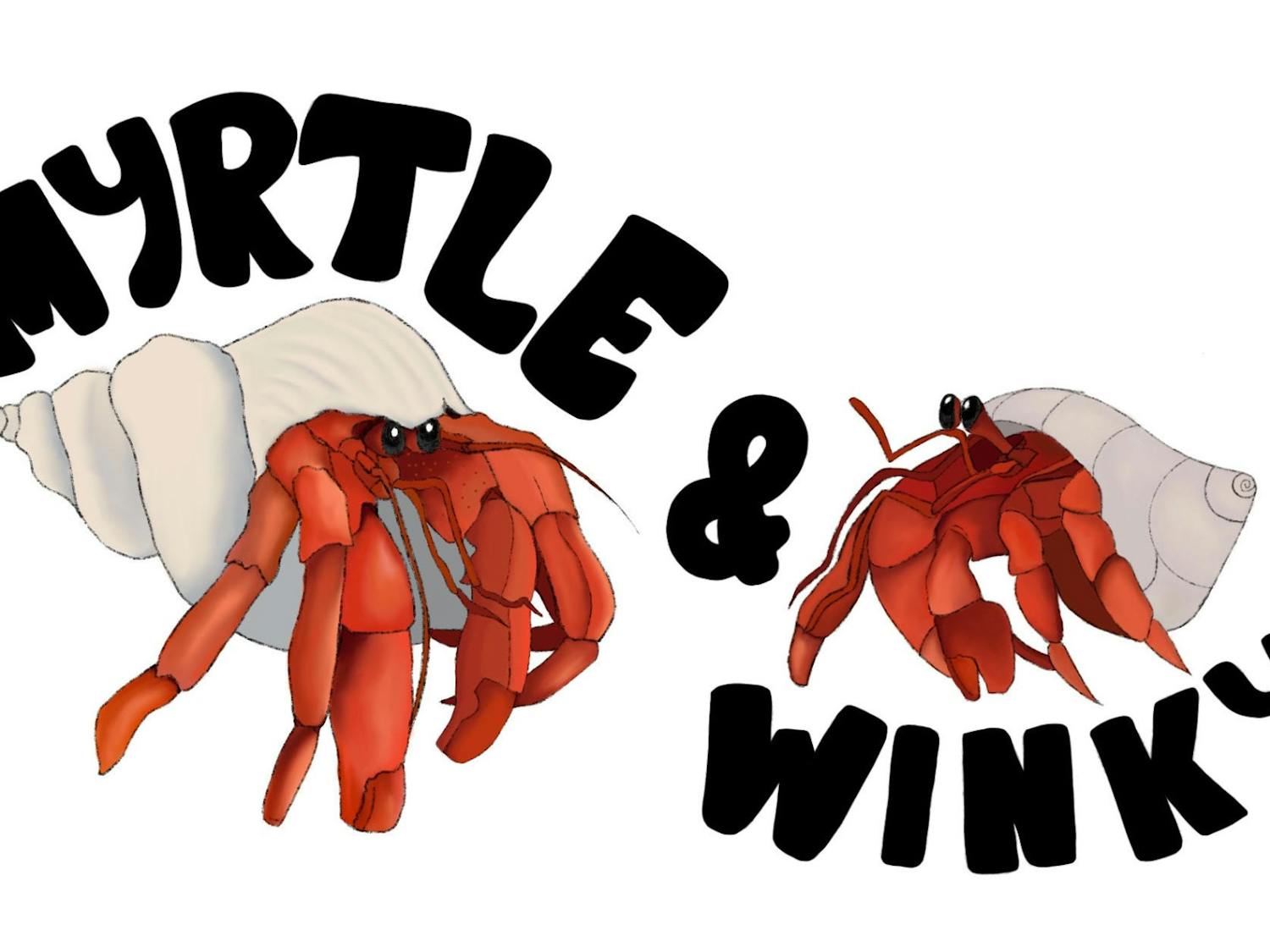 The level of care needed to raise hermit crabs is often underestimated. (Graphic by Sandra Abrantes)