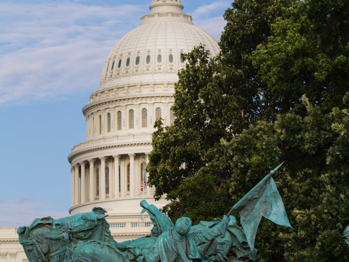 (Photo courtesy of Pexels/ “United States Capitol” by Ramaz Bluashvili)