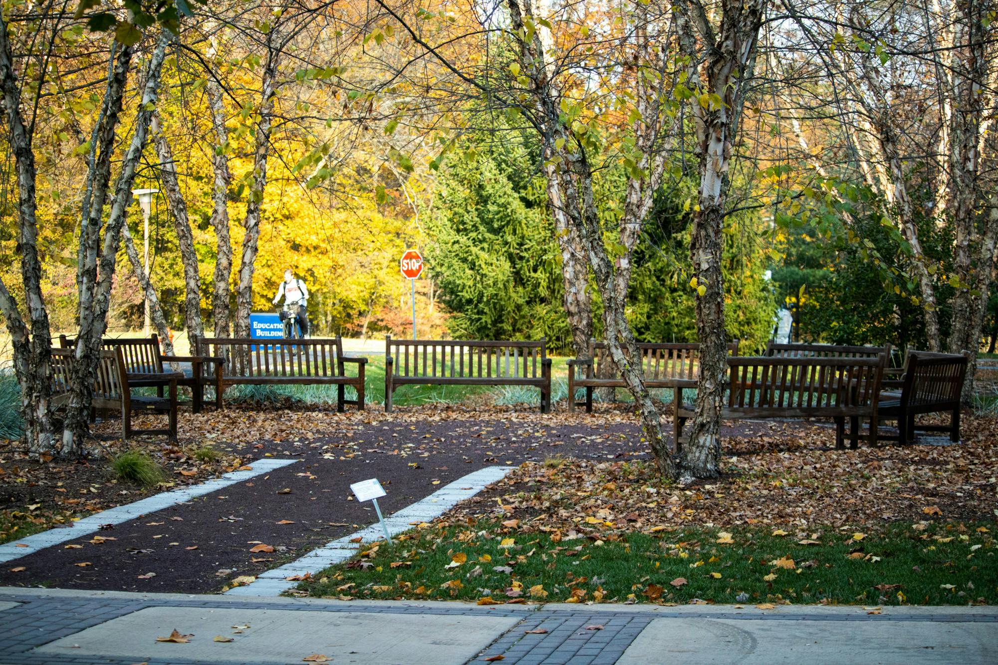 (Photo courtesy of Shane Gillespie / Photo Editor)