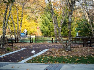 (Photo courtesy of Shane Gillespie / Photo Editor)