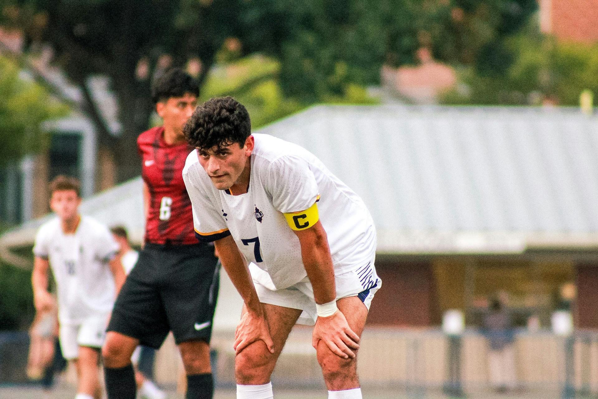 Senior captain Chris Meder has played a big role in the Lions dominant run.