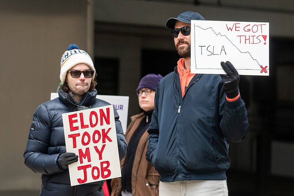 Tesla&#x27;s electric vehicle sales have plummeted following CEO Elon Musk&#x27;s recent political decisions. (Photo courtesy of Wikimedia Commons / Paul Goyette, March 22, 2025)