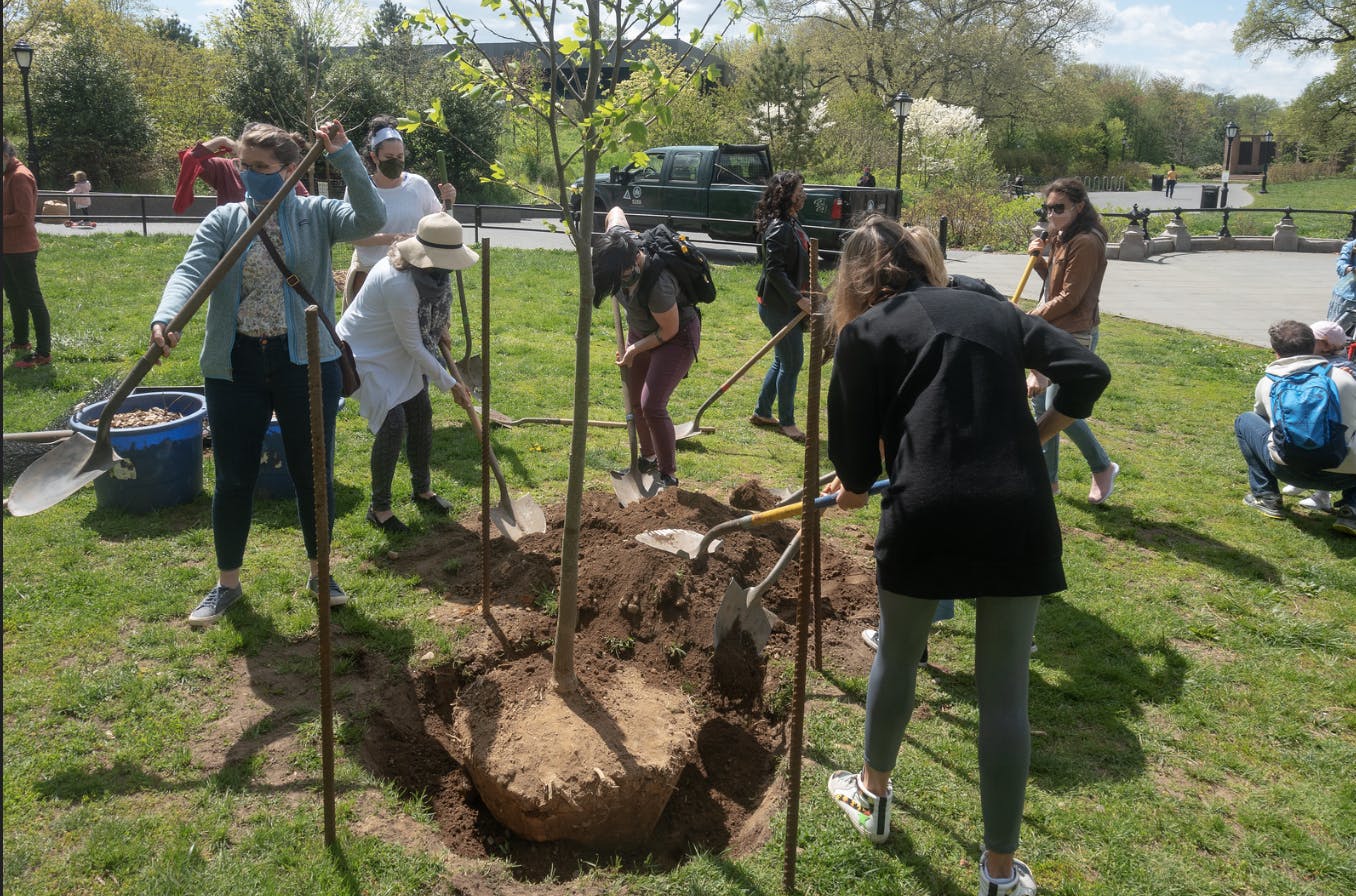 (Photo courtesy of Flickr/ “Prospect Park Alliance - Arbor Day 2021” by Prospect Park Alliance. May 6, 2021).