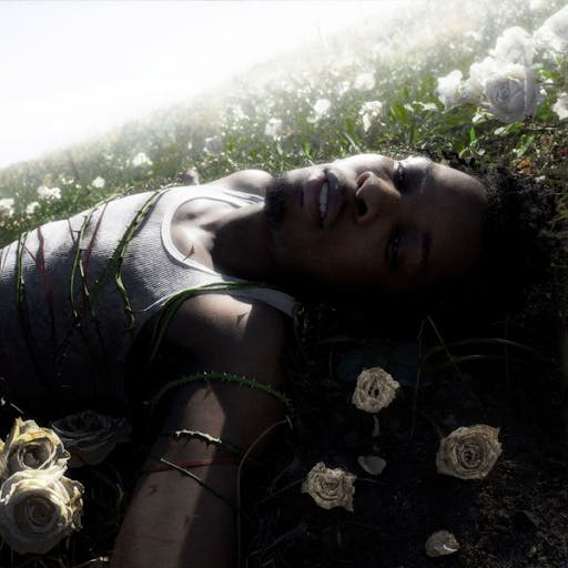 D4vd’s “WITHERED” album cover — the tour he was performing on when the body was found (Photo courtesy of Apple Music)