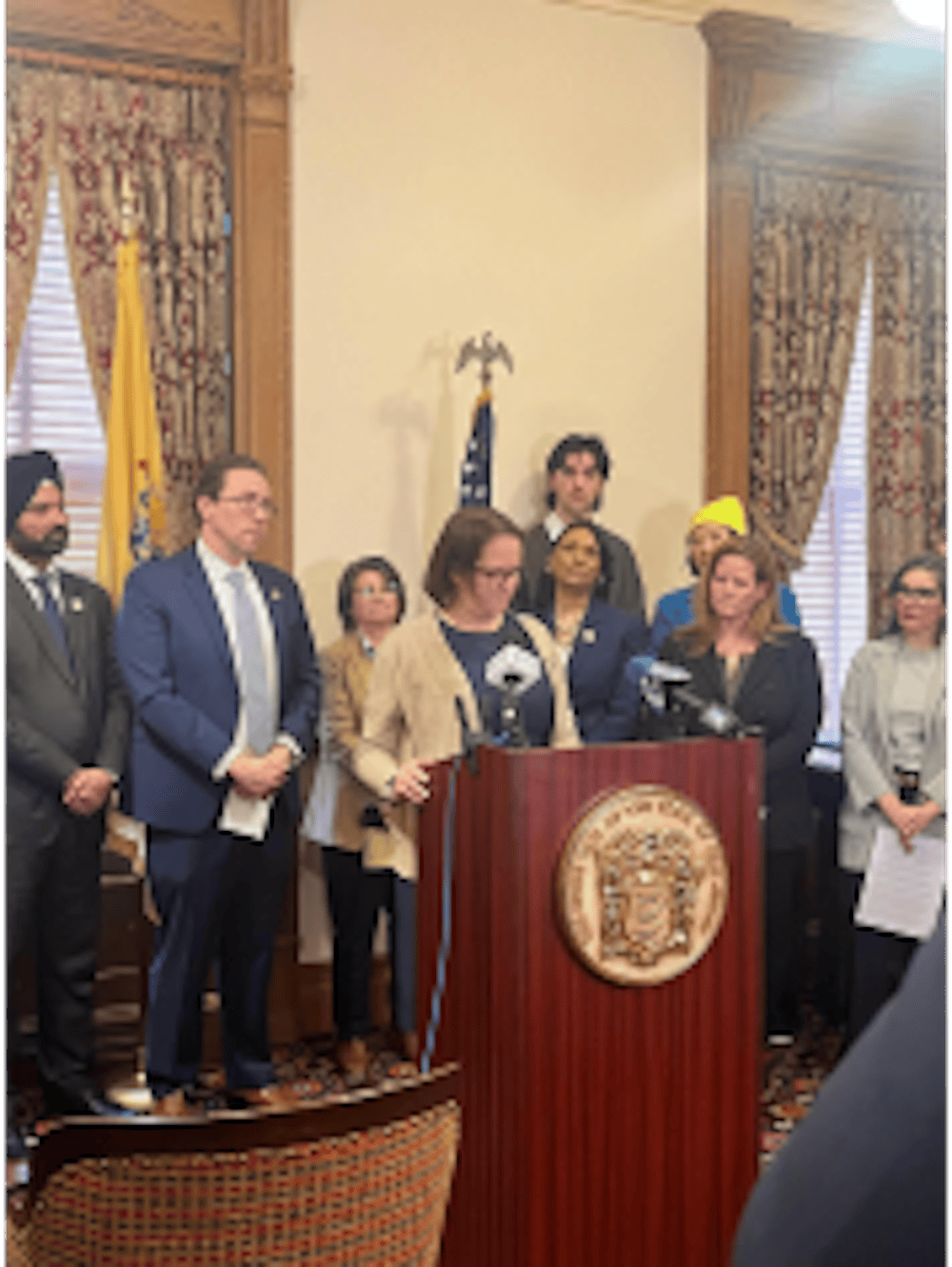 <p><em>Assemblywoman Andrea Katz speaking at a press conference with fellow Assembly members and social media protestors before an Assembly session on Feb. 19 at the New Jersey State House. (Photo by Brinda Patel) </em></p><p></p>