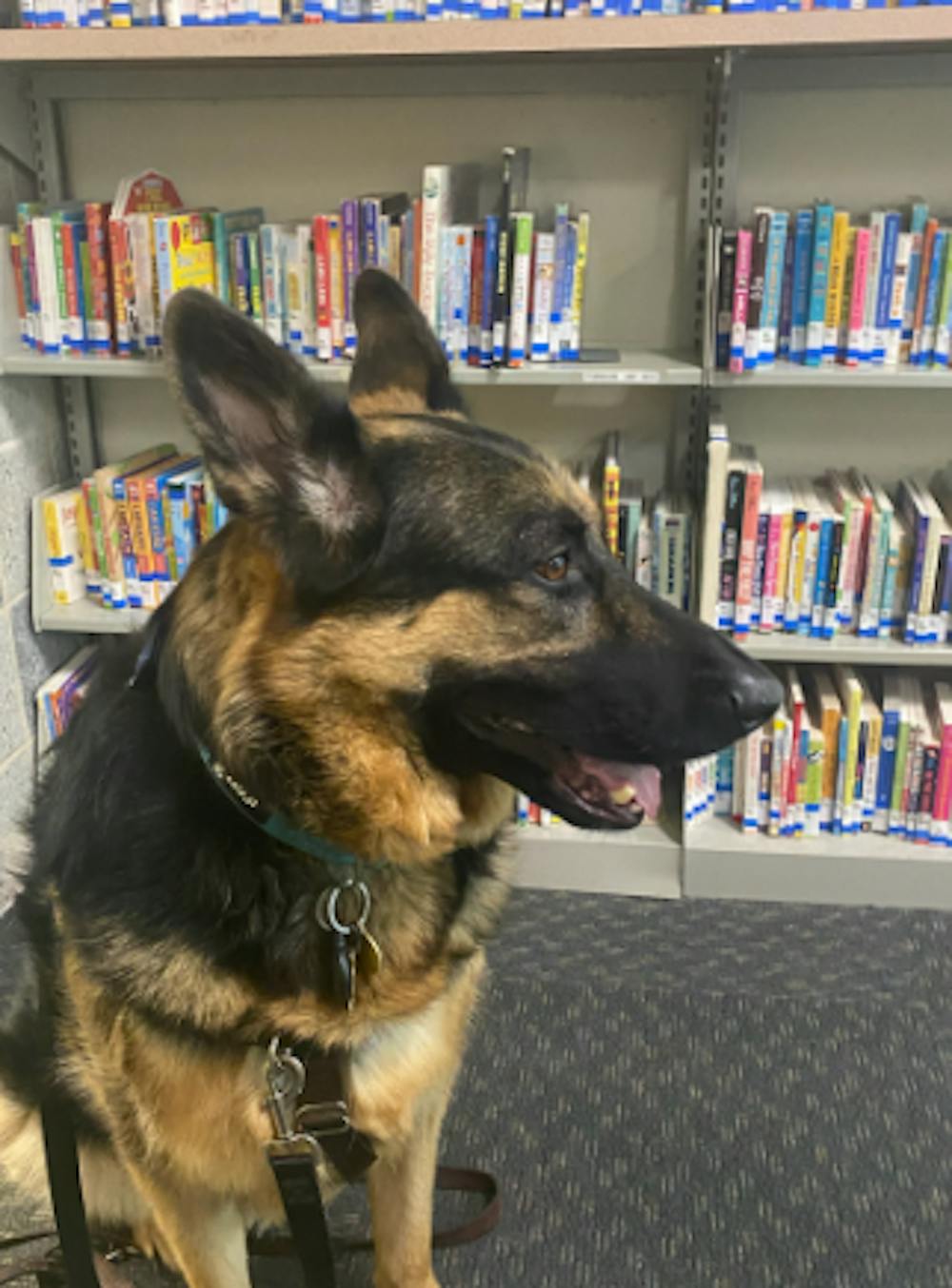 <p><em>Theodore Finley waiting for storytime at the Ewing library. (Photo courtesy of Liz Celentano)</em></p><p></p>