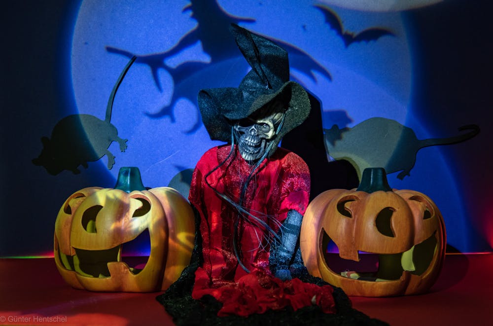 <p><em>Halloween is a timeless holiday that enables us to experience child-like excitement (Photo courtesy of </em><a href="https://www.flickr.com/photos/v230gh/48990021477/in/photolist-2hD5EAH-2hyPkR7-N5bKaq-Ntkcns-dqFUNx-2jXzBkw-2jXzAGx-YQGom1-Zd3Roj-YyDybE-pAgaJk-fGUHW7-drnWLj-dp5zGj-72YHk2-2nSAGRD-2nQbCFn-2hyyprH-5rMaz-2jX4cK5-pBt4t2-7ccSX3-2nT7uRg-2hpR7wG-6anRyo-2k2DyyH-7cUCiz-YTtT3h-haE1Yk-h9EdvH-ZUXAfg-CGsf49-H8hKsQ-pEE1FS-pBwyua-8Pq6hV-7cvxX4-2jQJDJ9-7hkrGG-79UZDg-3BLuuq-2mx68zz-2jPKraG-2mMiyyp-2k5Xqmh-2biCeWV-oQXGDW-pH6hKZ-r8fJM-8P1AZQ" target="_blank"><em>Flickr</em></a><em> / Günter Hentschel October 31, 2019).</em></p><p><em></em></p>