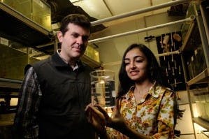 Professor Wund&#x27;s lab studies phenotypic plasticity in three-spined stickleback fish (science.tcnj.edu). 