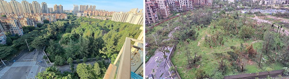 <p><em>Typhoon Yagi, one of the strongest storms in 2024, struck near Haiphong, Vietnam, and triggered flash floods and landslides, caused damage to bridges and uprooted trees, affecting many areas (Photo courtesy of Wikimedia Commons / “Typhoon yagi before-after 3” by Anna Frodesiak. September 7, 2024).</em></p>