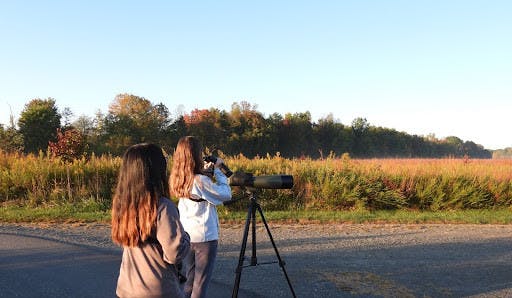 TCNJays using a telescope to look for birds. (Photo courtesy of Theresa Musto)