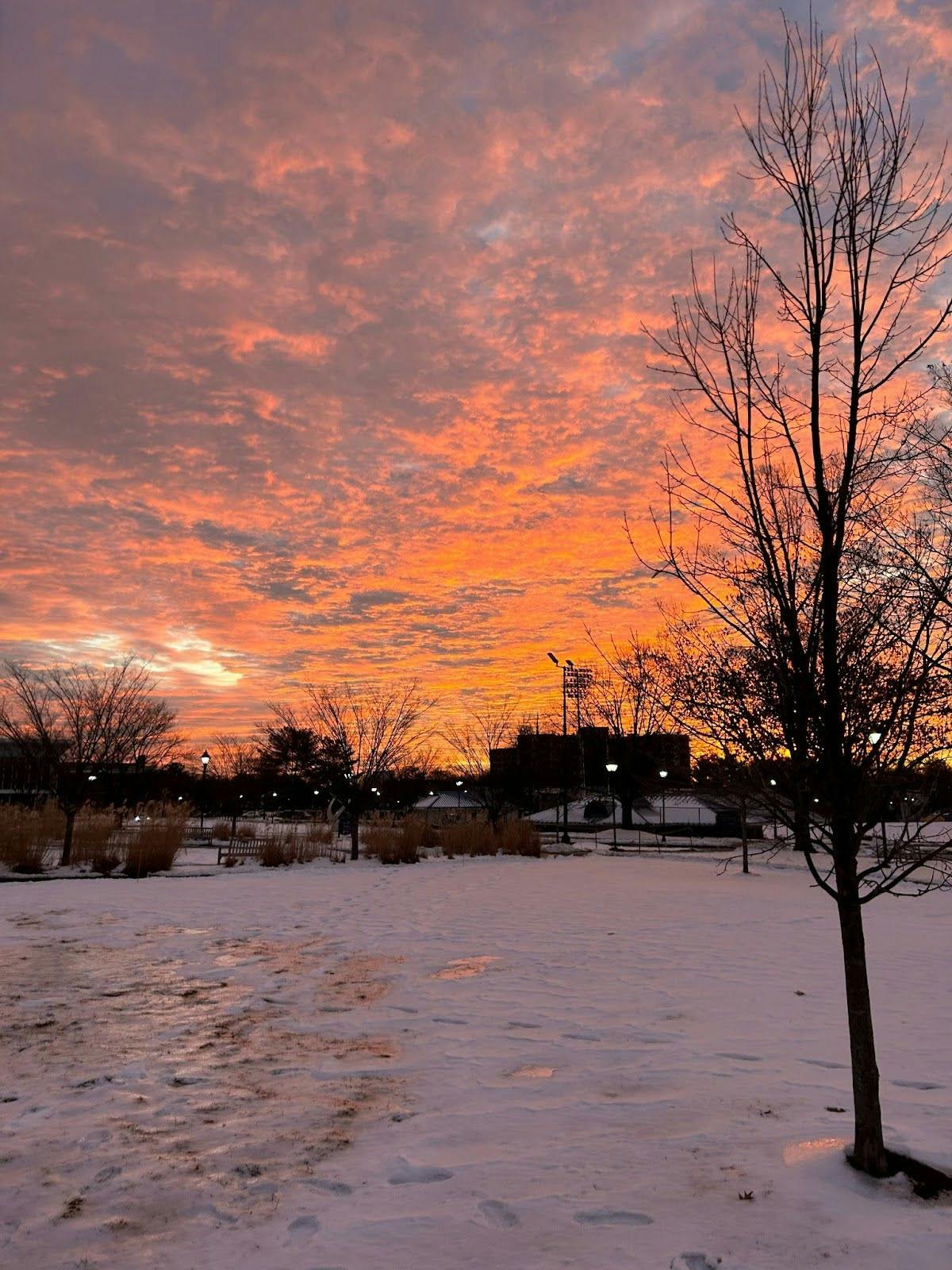 (Photo by Briana Keenan / News Editor) 