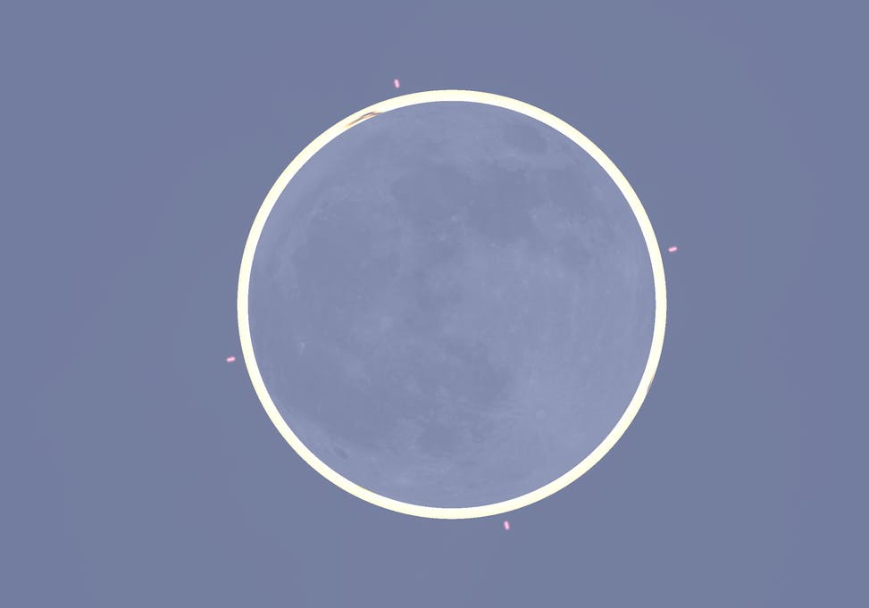 The recent solar eclipse was marked with a special guest: a ring of fire (Photo courtesy of Wikimedia Commons/“2023-10-14 Annular Solar Eclipse Maximum (Upper Broadway Park)” by Nicole Sharp. September 22, 2023). 