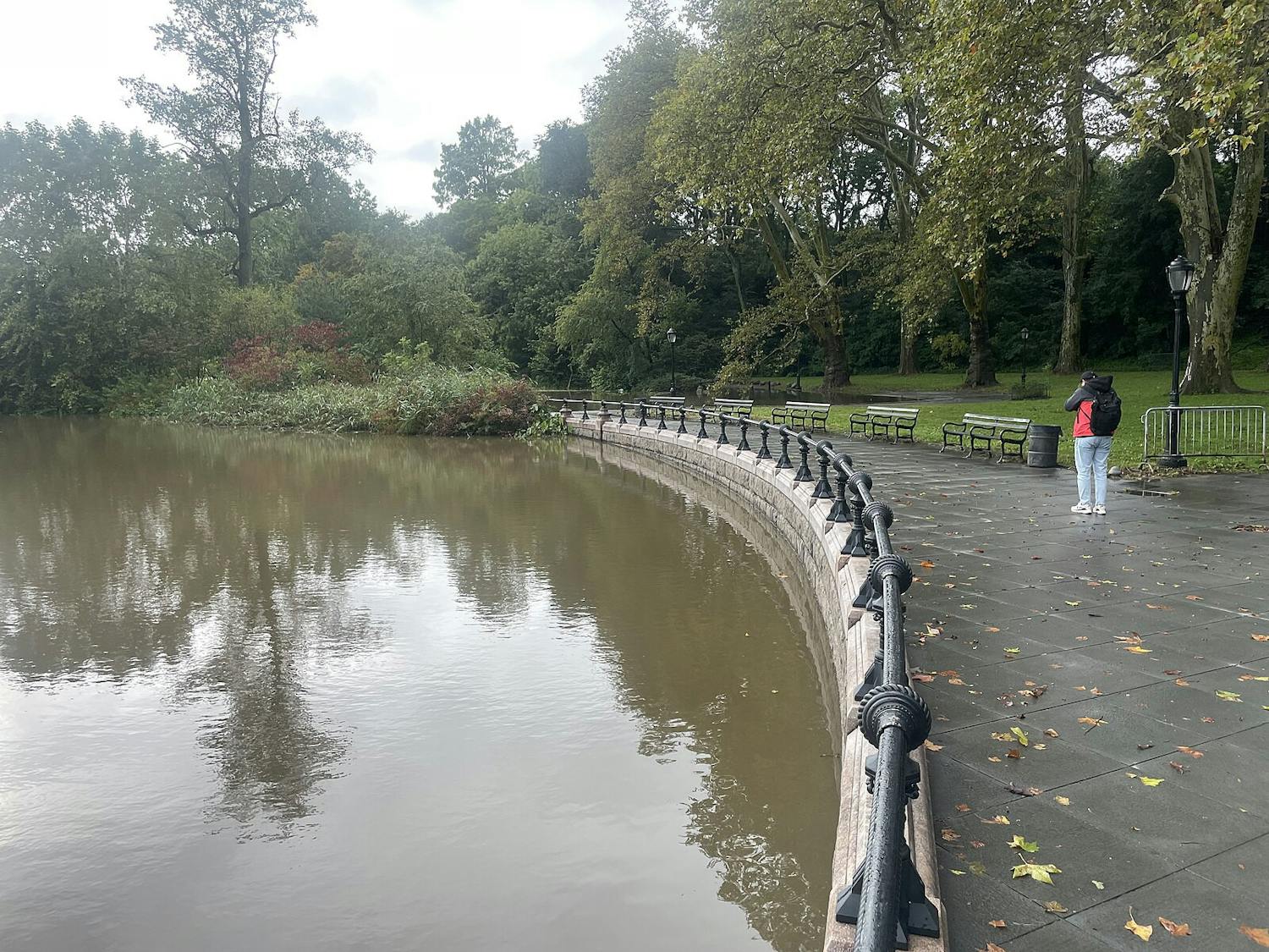 Historic floods devastated parts of New Jersey and New York on Sept. 29, after heavy rain poured down across the Tri-state area (Photo courtesy of Wikimedia Commons/“09292023 NYC Brooklyn Prospect Park Lake concert grove” by Wil540 art. September 29, 2023).