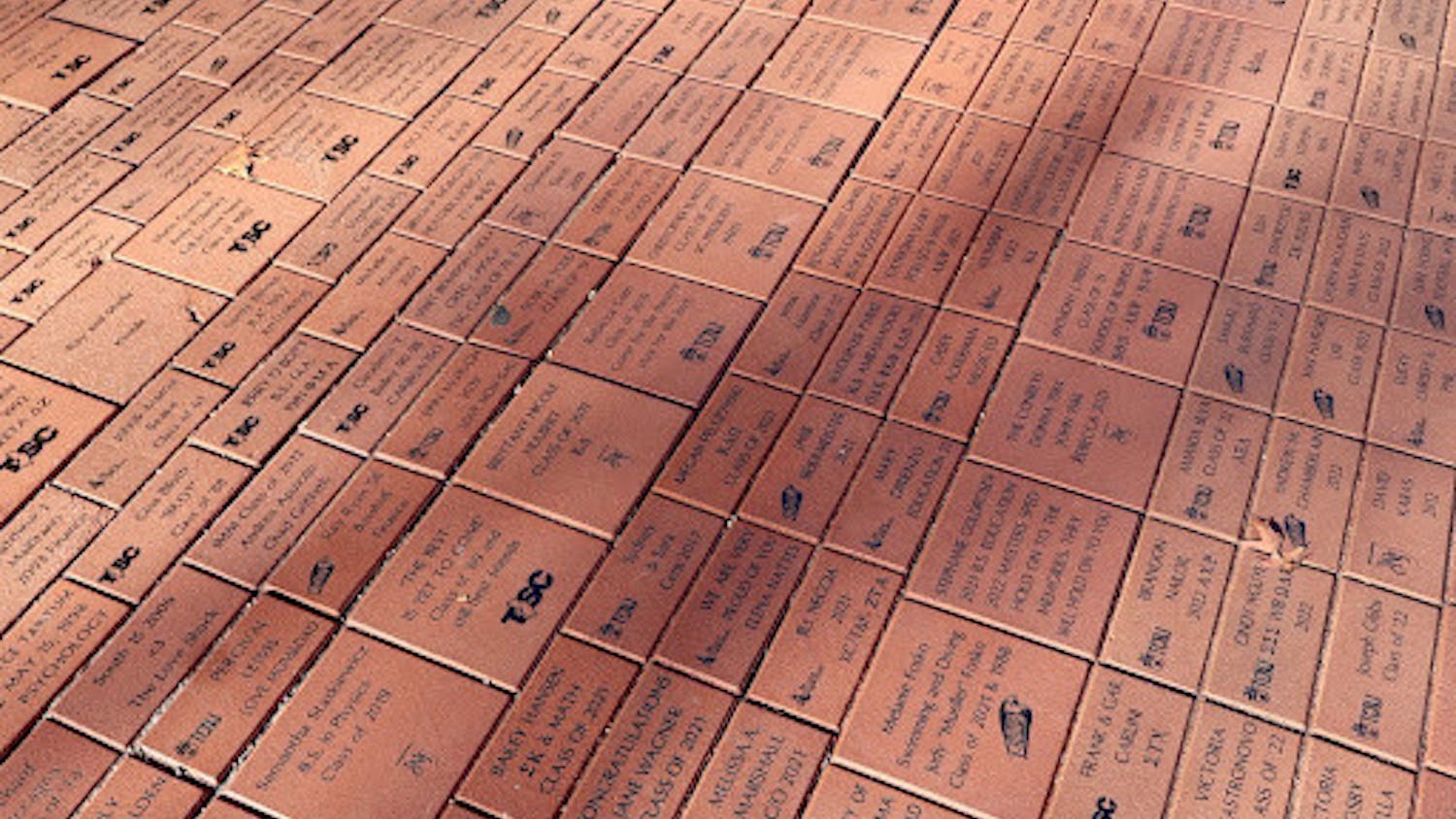 Alumni Grove allows students to preserve the legacy of their time at the College. (Photo courtesy of Erin Reilly)