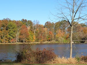 An osprey was spotted between Lake Ceva and Lake Sylva in April. (Photo by Elizabeth Gladstone)