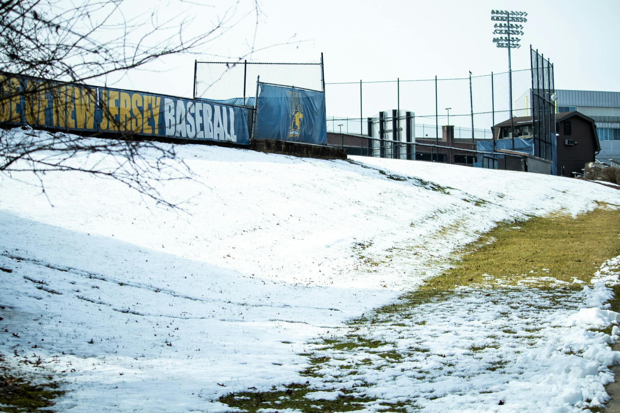 Photo by Shane Gillespie / Photo Editor﻿