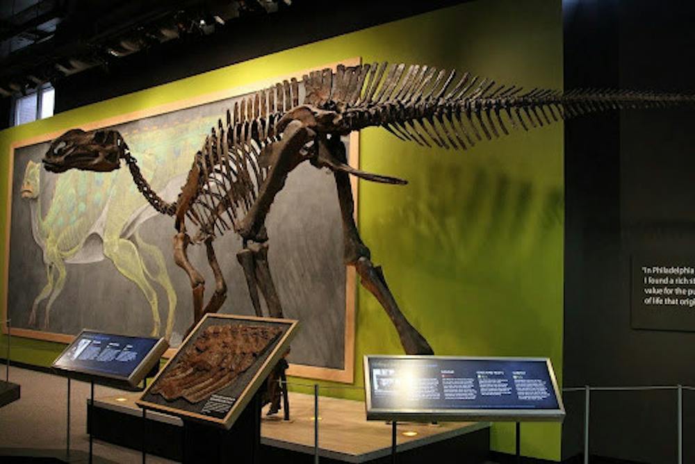 <p><em>The Philadelphia Academy of Natural Sciences, the oldest natural science museum in all of the Americas, shared that their museum will be shutting down to the wider public. (Photo courtesy of Flickr)</em></p>