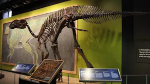 The Philadelphia Academy of Natural Sciences, the oldest natural science museum in all of the Americas, shared that their museum will be shutting down to the wider public. (Photo courtesy of Flickr)