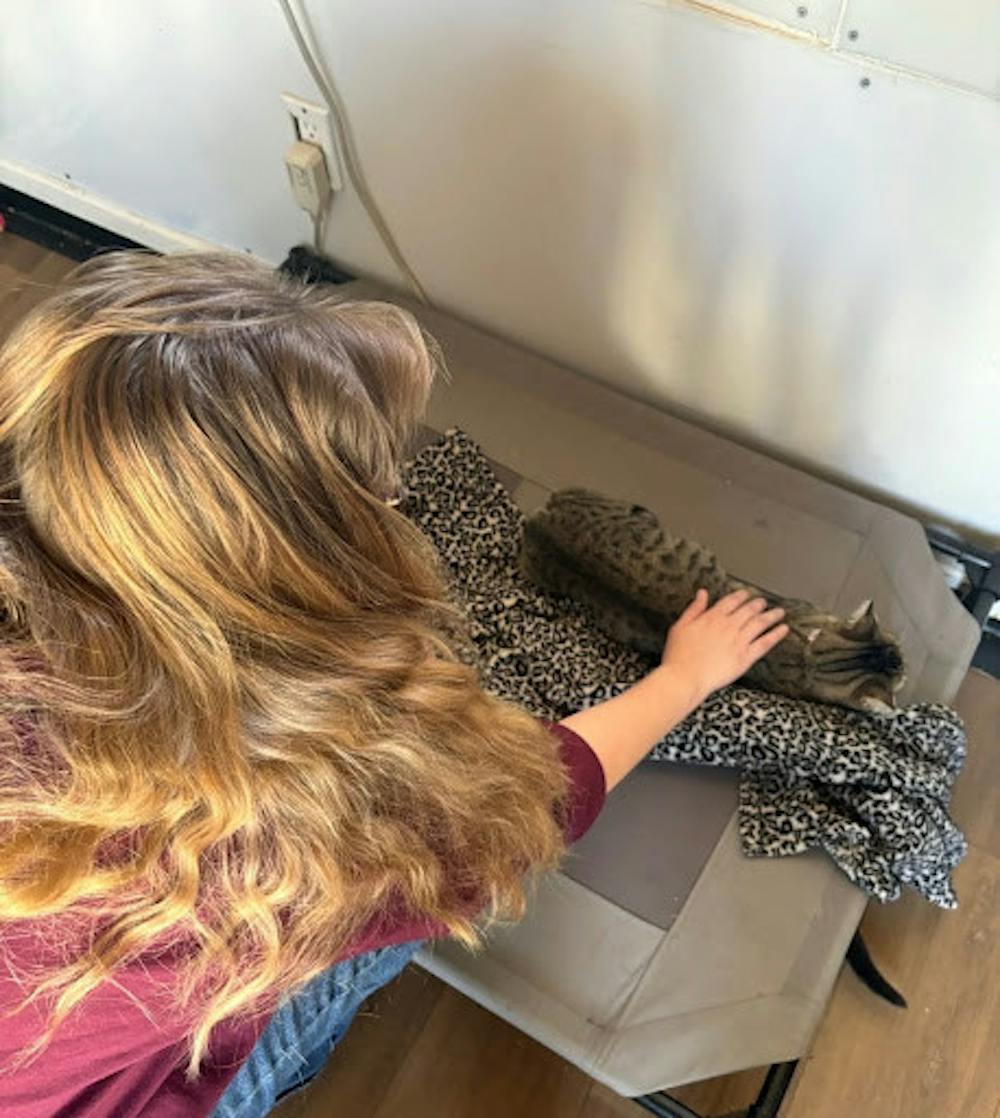 <p><em>Visiting Tiny Kitten House and playing with the kittens. (Photo courtesy of Aidan Morales)</em></p>