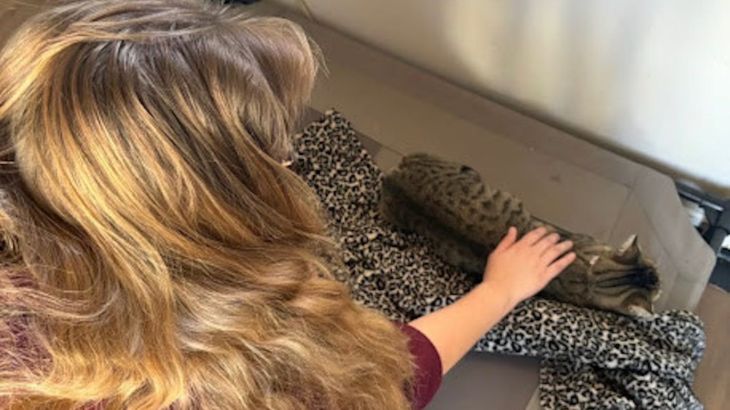 Visiting Tiny Kitten House and playing with the kittens. (Photo courtesy of Aidan Morales)