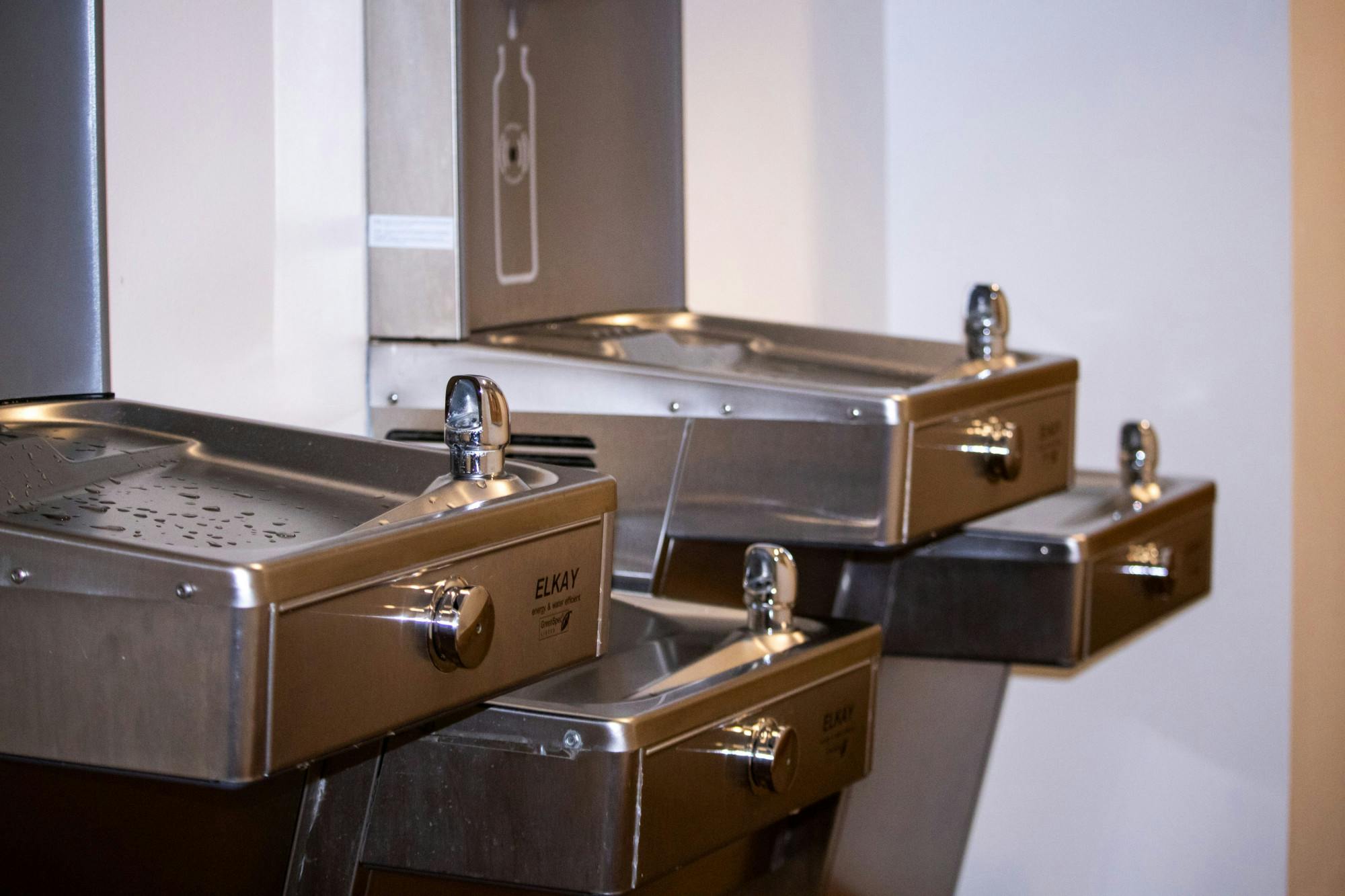 (Photo courtesy of Shane Gillespie / Photo Editor)