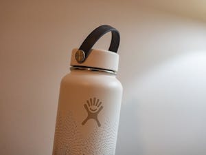 (Photo Courtesy of Wikimedia Commons / Tony Webster November 17, 2019).