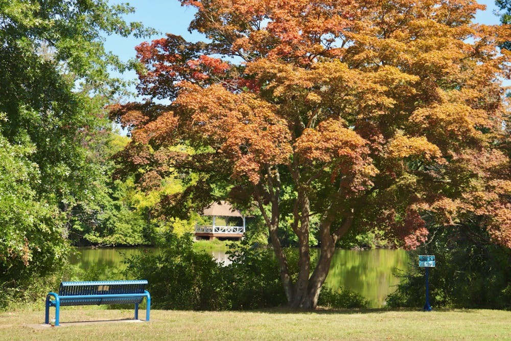 <p><em>The romanticization of fall isn&#x27;t attainable for all students (Photo by Brooke Zevon / Staff Photographer).</em></p>