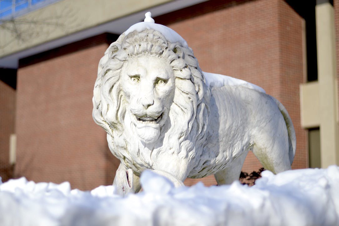 (Stephanie Shen / Photo Editor)