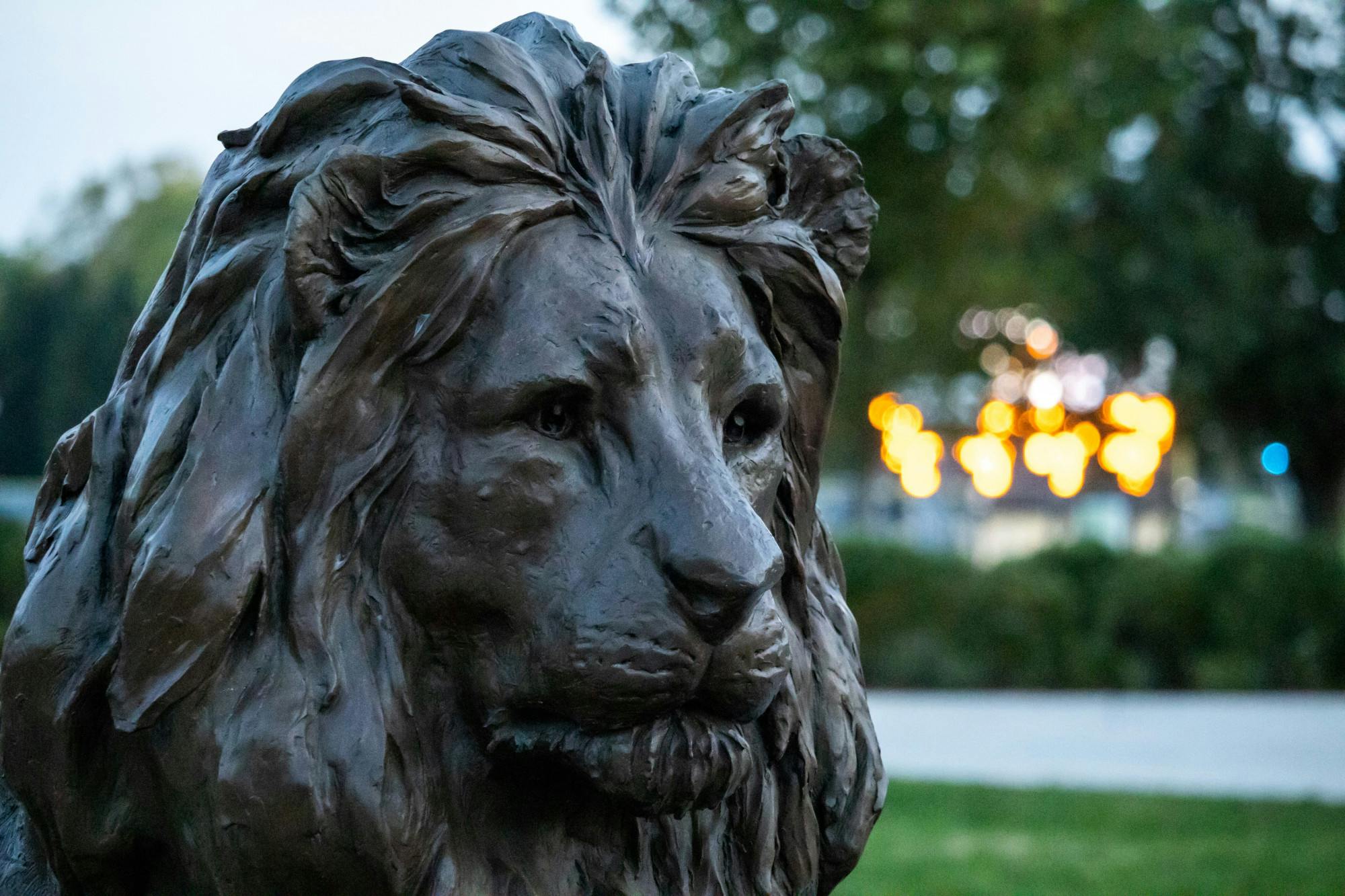 (Photo courtesy of Shane Gillespie / Photo Editor).

