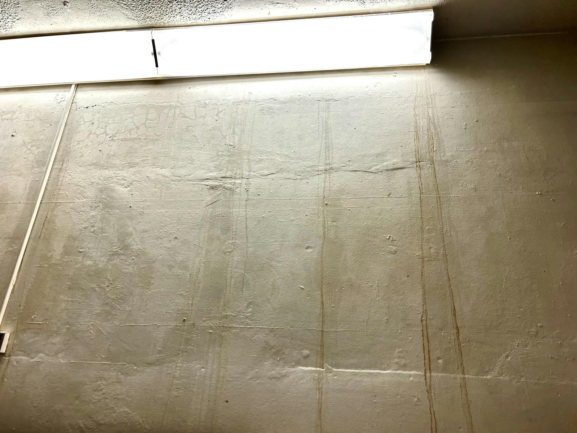 Leaking water in the towers results in an uncleanly, uncomfortable ﻿living environment. (Photo by Briana Keenan / Correspondent)