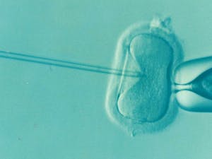 Since the Alabama IVF ruling, health systems around the state have paused their in-vitro fertilization treatments, impacting hundreds of families across the state (Photo courtesy of Wikimedia Commons / DrKontogianniIVF. July 14, 2016).