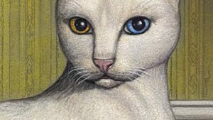 Album art for Mitski’s eighth studio album “Nothing’s About to Happen to Me.” (Photo courtesy of Apple Music)