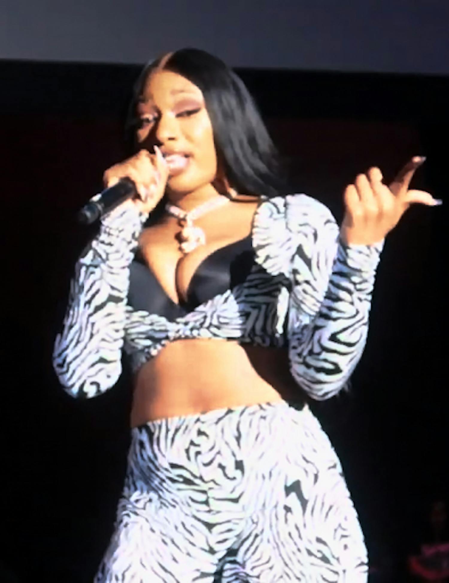 Megan Thee Stallion is an American rapper based in San Antonio, TX (Photo courtesy of Wikimedia Commons / 2019).