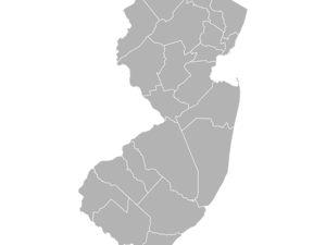 Six candidates are seeking New Jersey’s vacant Senate seat, while 24 candidates seek a spot in all 12 House seats (Photo courtesy of Wikimedia Commons / “New Jersey Presidential Election Results 2024” by ZackCarns. September 28, 2024).