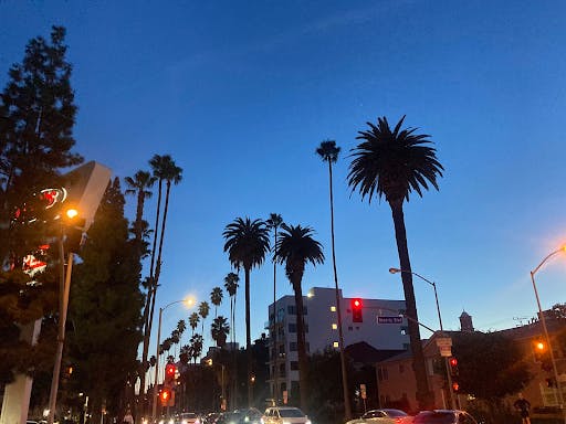 ICE has only become more controversial as tensions rise in the areas they’ve been deployed. (Photo courtesy of Wikimedia Commons)