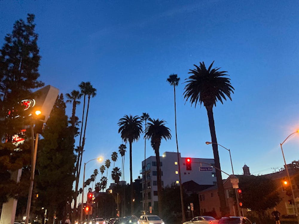 <p><em>ICE has only become more controversial as tensions rise in the areas they’ve been deployed. (Photo courtesy of </em><a href="https://commons.wikimedia.org/wiki/File:Los_Angeles_CA_20231122_(1).jpg" target=""><em>Wikimedia Commons</em></a><em>)</em></p>