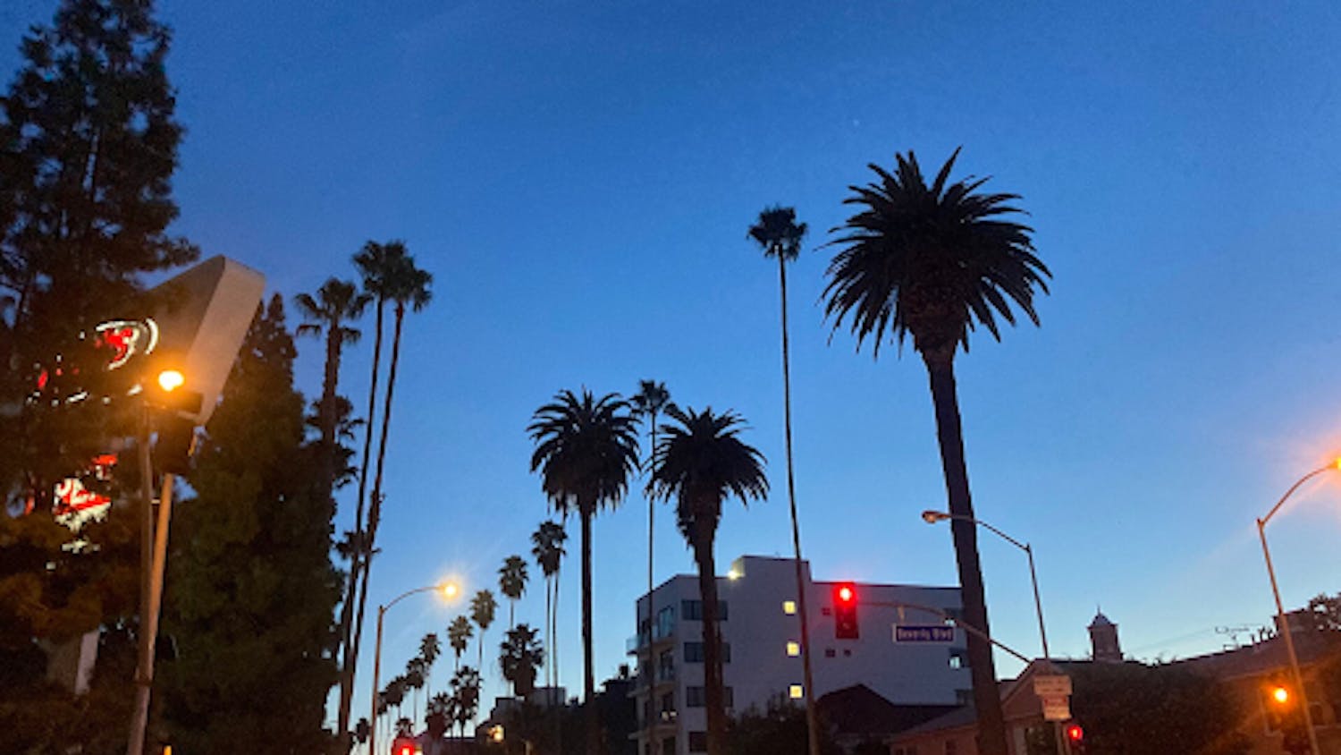 ICE has only become more controversial as tensions rise in the areas they’ve been deployed. (Photo courtesy of Wikimedia Commons)