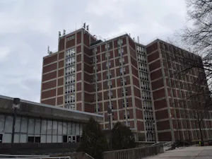 (Ian Krietzberg / Editor in Chief)