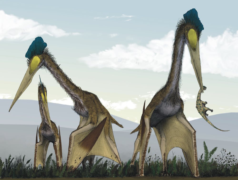 <p>In recent years, experts have been doing more research to deepen the link between birds and dinosaurs (Photo courtesy of Mark Witton and Darren Naish, <a href="https://creativecommons.org/licenses/by/3.0" target="_blank">CC BY 3.0</a>, via <a href="https://commons.wikimedia.org/wiki/File:Life_restoration_of_a_group_of_giant_azhdarchids,_Quetzalcoatlus_northropi,_foraging_on_a_Cretaceous_fern_prairie.png" target="_blank">Wikimedia Commons</a>).</p>