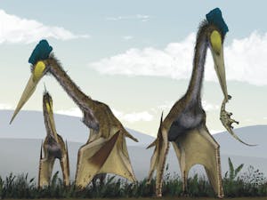 In recent years, experts have been doing more research to deepen the link between birds and dinosaurs (Photo courtesy of Mark Witton and Darren Naish, CC BY 3.0, via Wikimedia Commons).