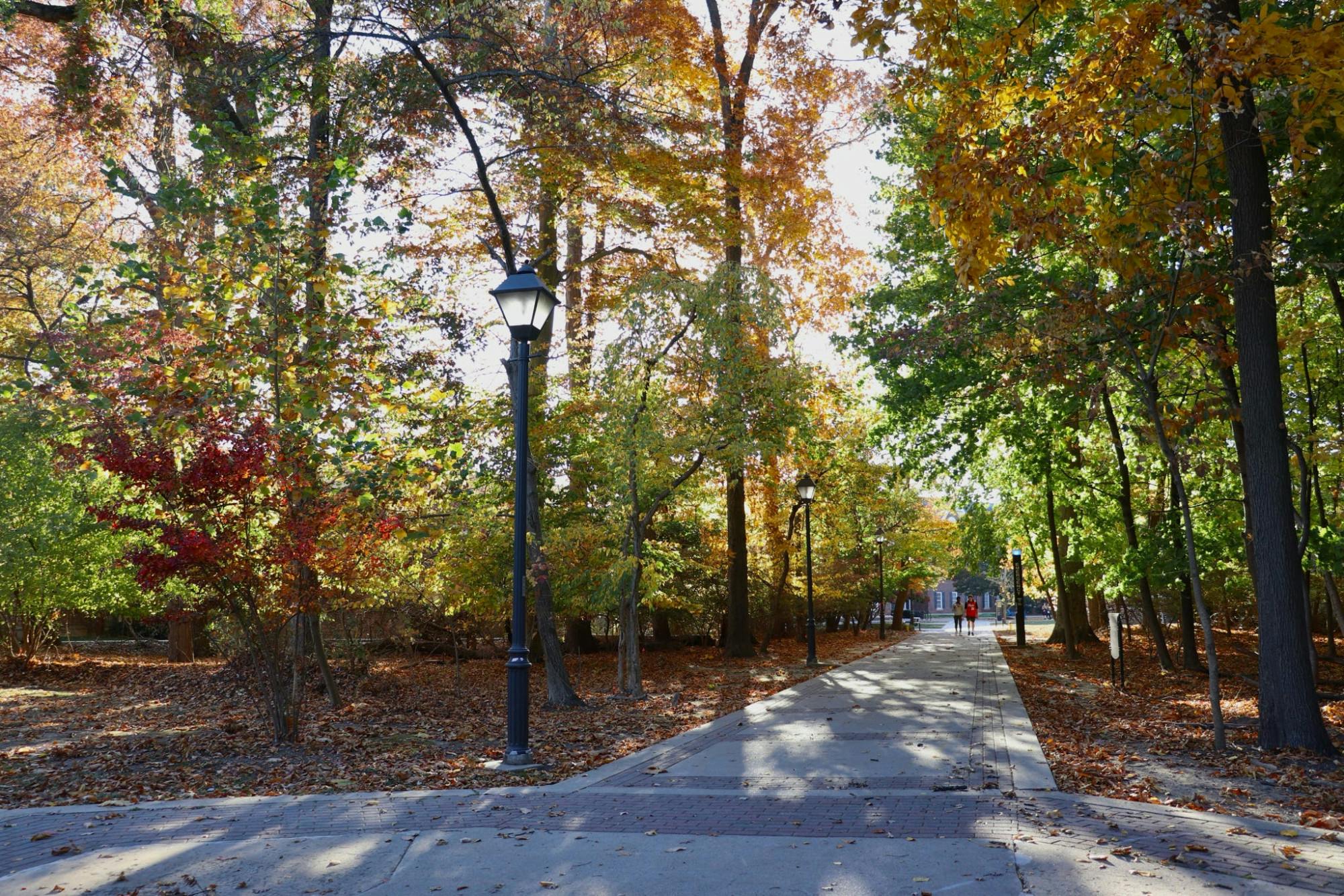 New Jersey is currently experiencing drought conditions and wildfires (Photo by Brooke Zevon / Staff Photographer).